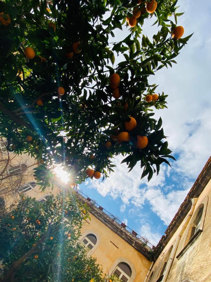Il Chiostro Bed & Breakfast Massa Lubrense Exterior foto